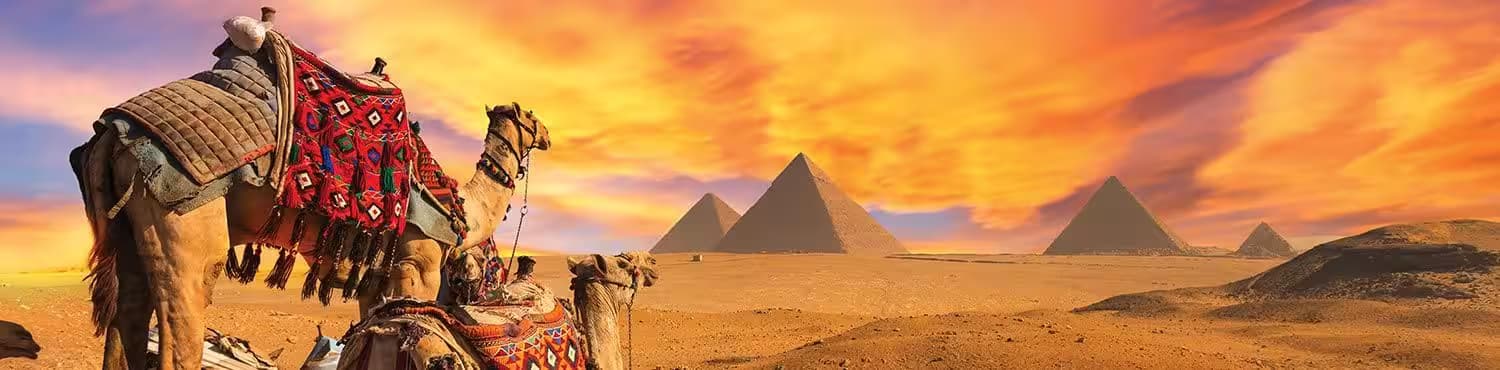 Egyptian Dhamaka - Summer 2026 photo 3
