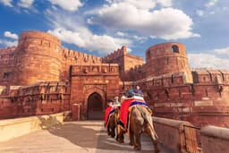 Golden Triangle with Ranthambore photo 1