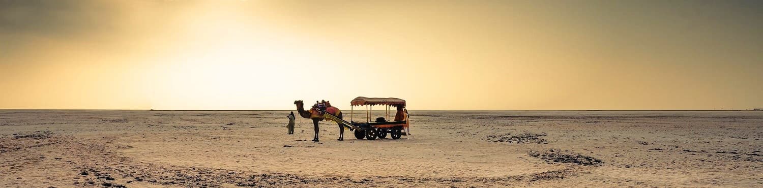 Great Rann Utsav 2N photo 3
