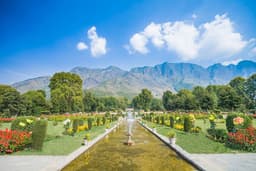 Kashmir - Buy 1 Get 1 Free photo 4