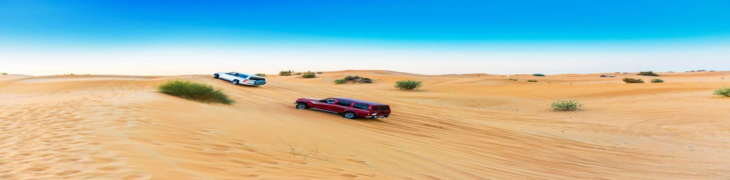 Simply Dubai photo 2