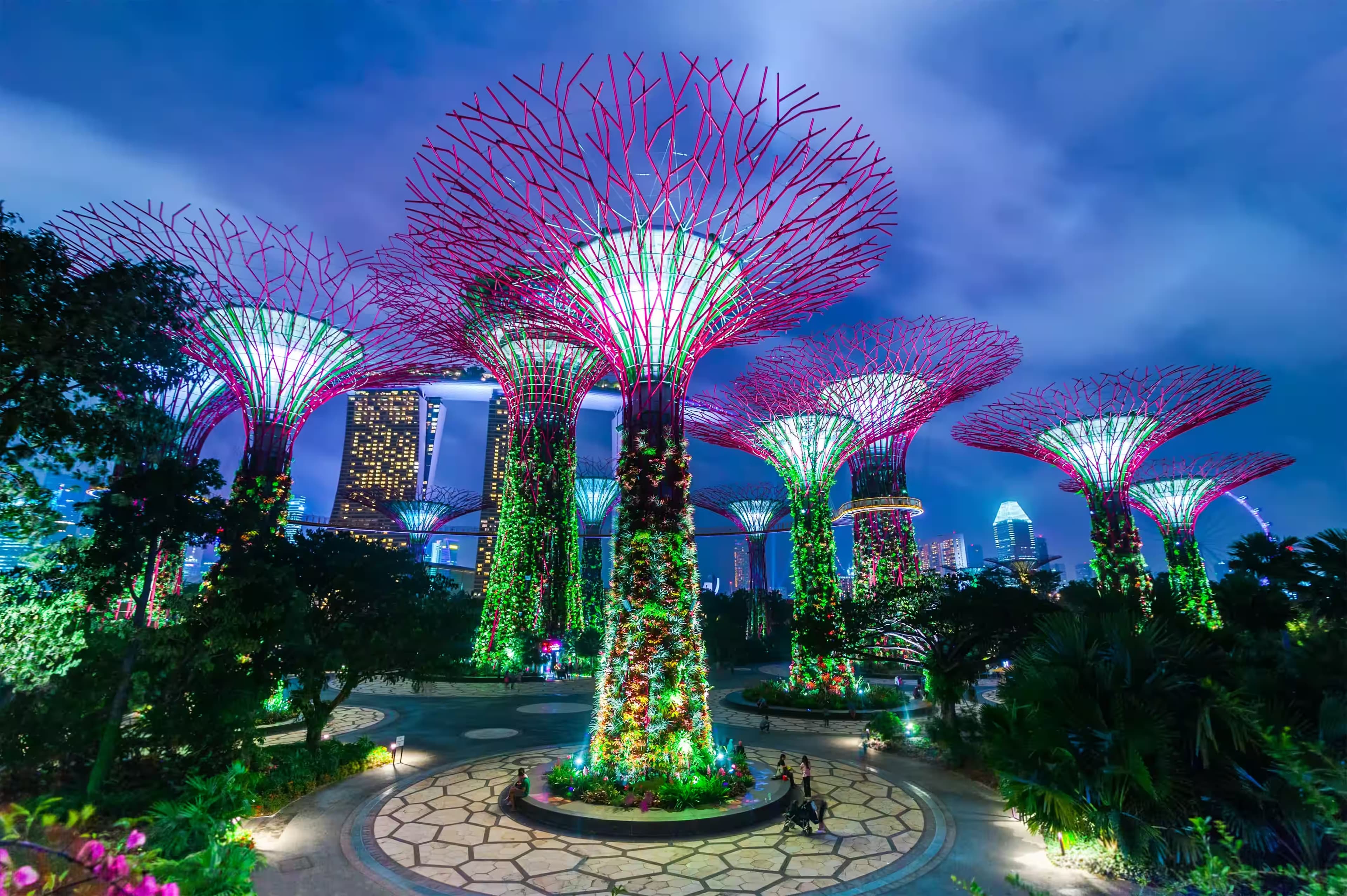 Simply Singapore photo 4
