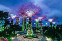 Singapore - Buy 1 Get 1 Free photo 1