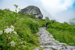 Hemkund Sahib Trek, Uttarakhand photo 2