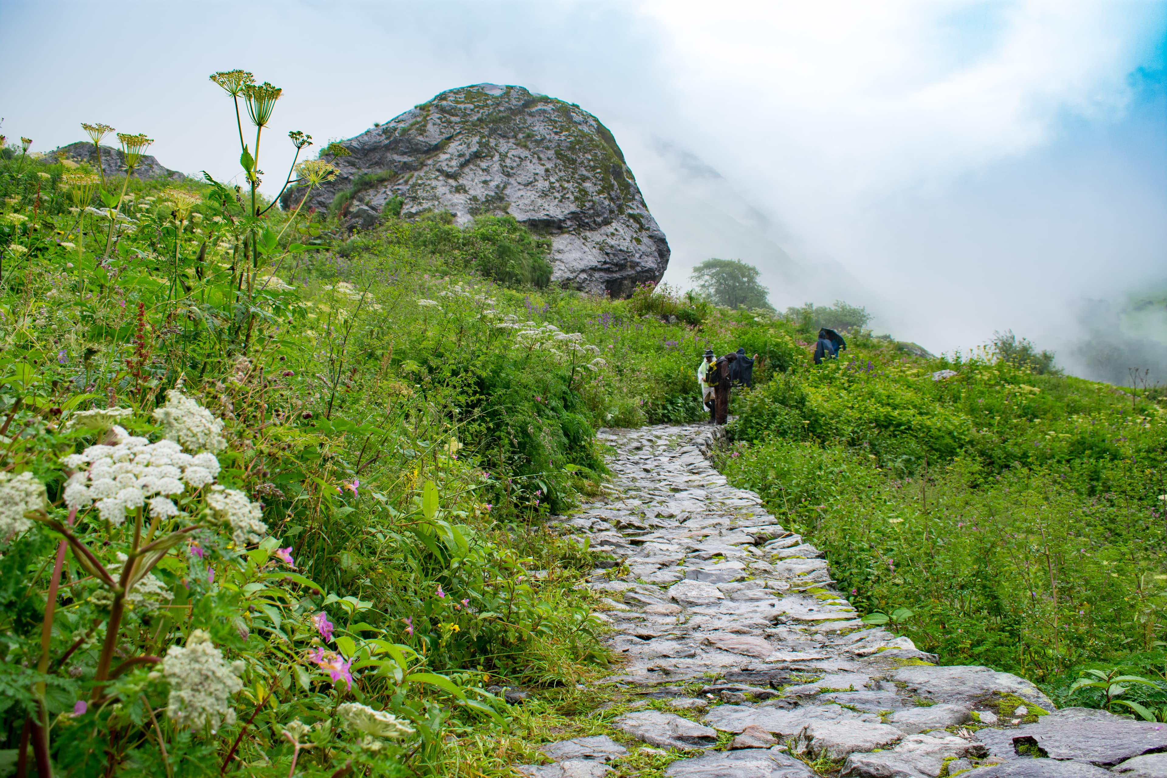 Hemkund Sahib Trek, Uttarakhand photo 2