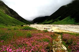 Hemkund Sahib Trek, Uttarakhand photo 4